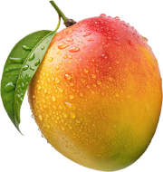 Fresh Produce & Food Safety